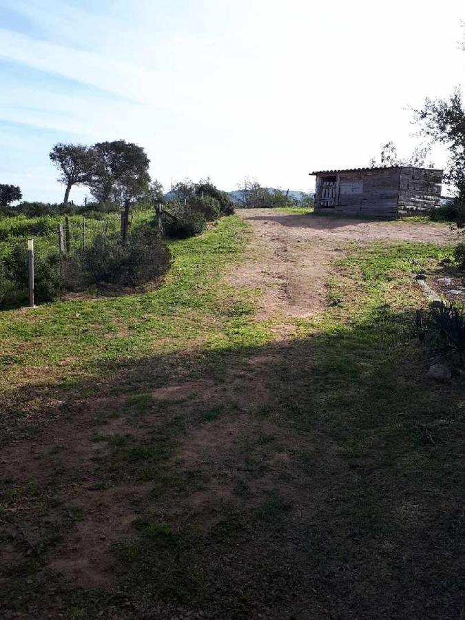 Villa Casa Gattu à Porto-Vecchio  Extérieur photo