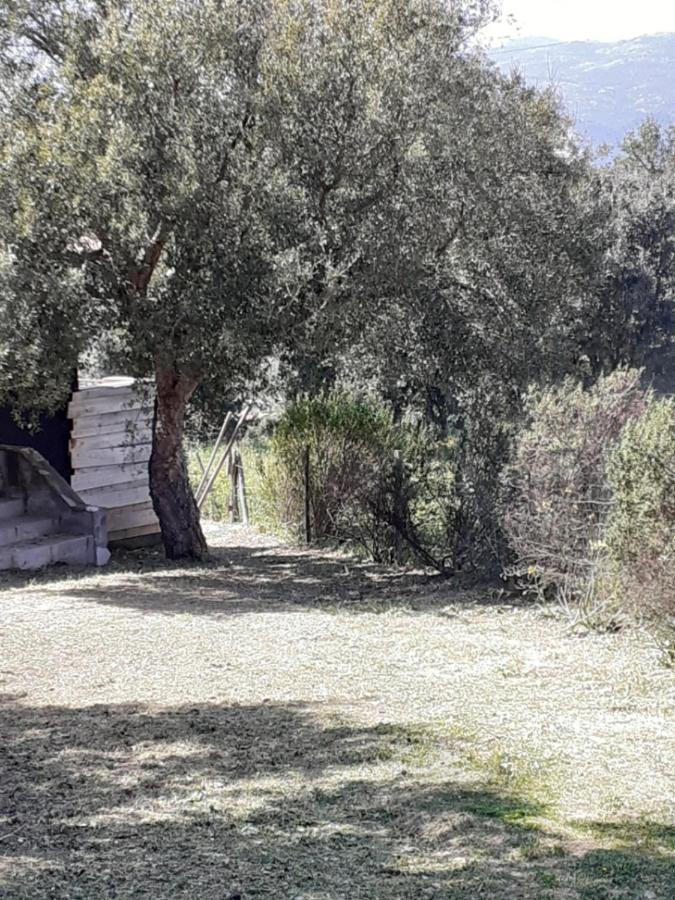 Villa Casa Gattu à Porto-Vecchio  Extérieur photo