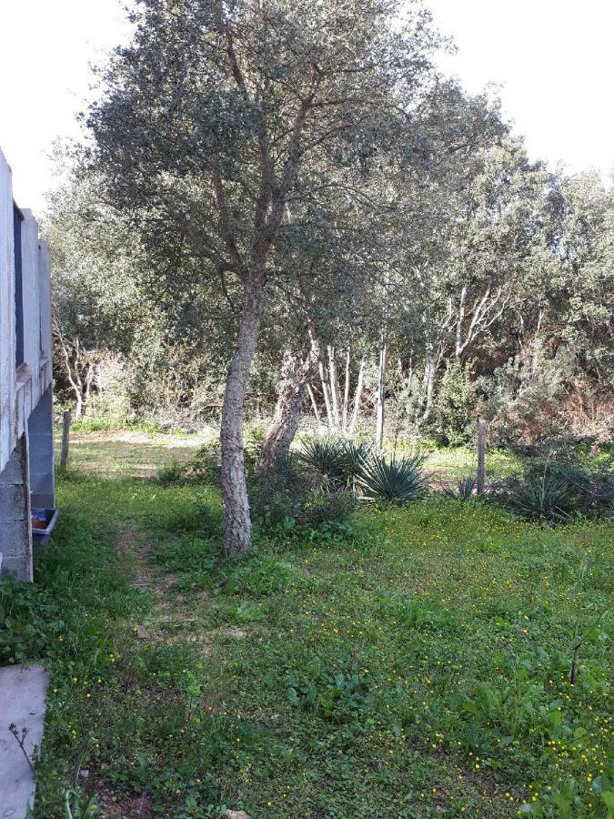 Villa Casa Gattu à Porto-Vecchio  Extérieur photo